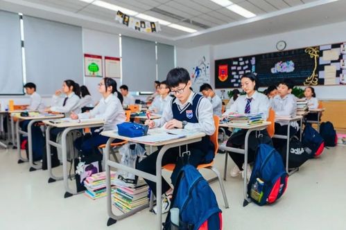 小班教學(xué),豐厚獎學(xué)金 本周六,這所學(xué)校開啟小學(xué)初中入學(xué)咨詢會